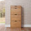 Brilon 18 Pair Solid Wood Shoe Storage Cabinet-742052984