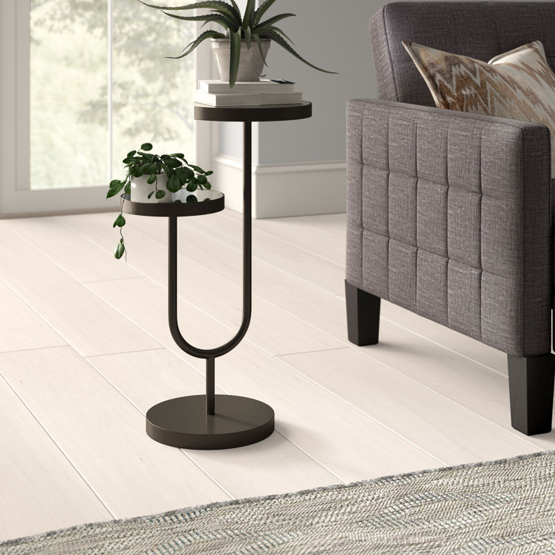 Ericson Mirrored Glass Top End Table, Black
