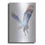«Snow Owl II» par Clean Nature - reproduction d'art sur métal sans cadre-473752978