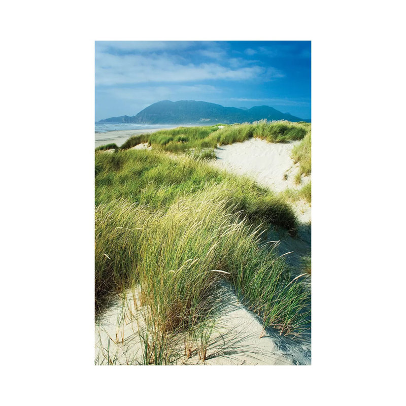 Oregon Dunes Grass by Alan Majchrowicz - Wrapped Canvas Gallery-Wrapped Canvas Giclée, 66.04 cm H x 45.72 cm W x 1.91 cm D
