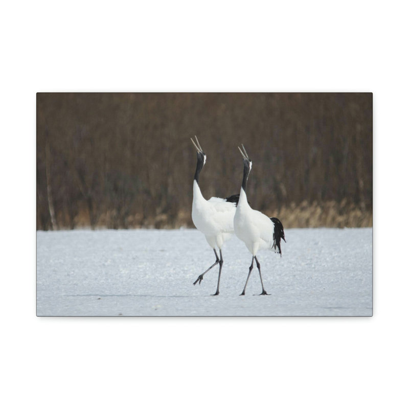 No Frame Print on Canvas, 27.94cm H x 35.56cm W