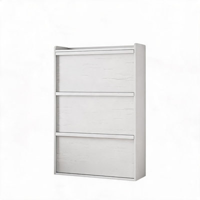 25 - Pair Shoe Storage Cabinet
