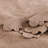 Tkembroidery Cotton Abstract Bedding-1064340736-1064340737