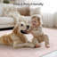 Tapis lavable à rayures rétro antidérapant (beige)-471381062-490636260