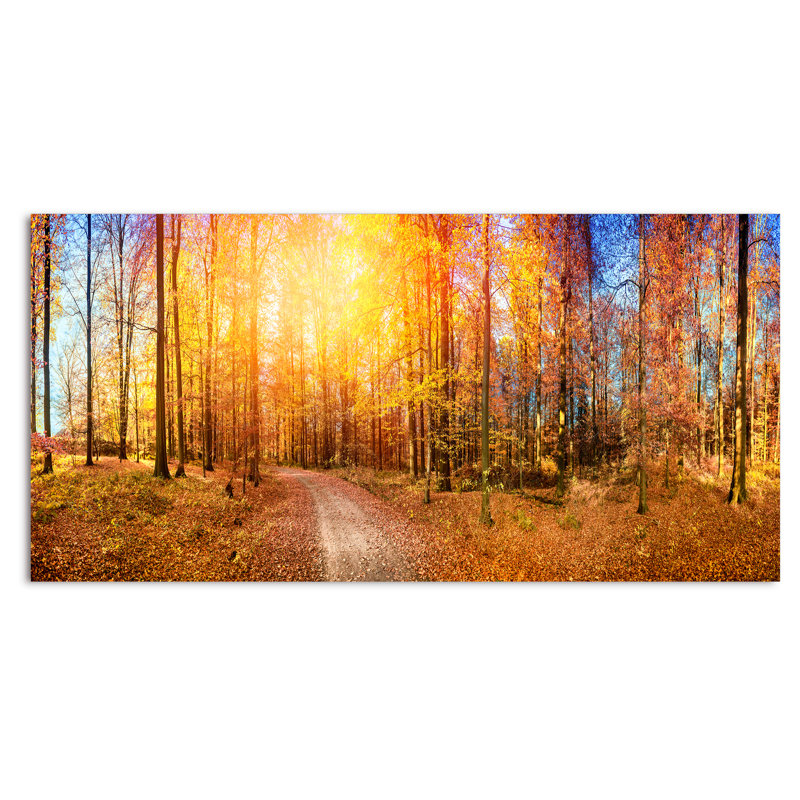 Sunlight in Autumn Forest - Photographie sur toile, H 28 po x l 60 po x P 1,5 po, Toile tendue
