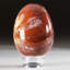 Petrified Wood Egg-124930745-124930765