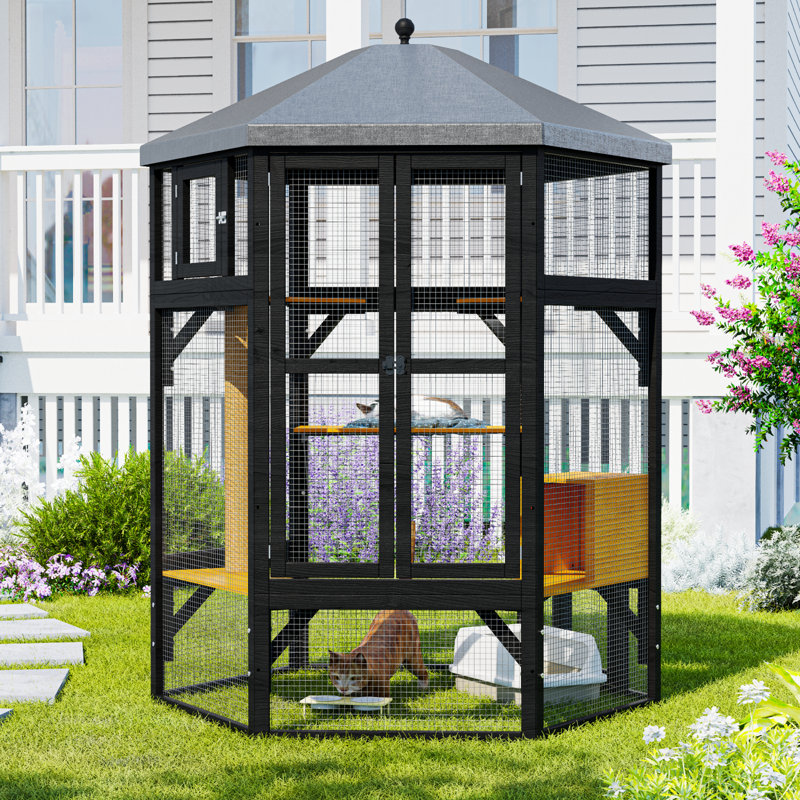 Enceinte de chat intérieure en bois Catio, enceinte intérieure Catio avec fenêtre d'accès, Noir