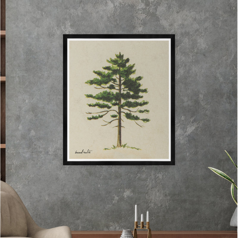 Moulton Collection " Cedar ", Black Framed