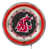 Cougars de Washington State