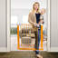 Barrière pour chien