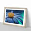Anemone Flower In Blue - Single Picture Frame Painting-55545192-55545194