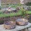 Bird Decorative Bird House