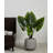 Finnuala Handmade Pot Planter-324676120-324676121
