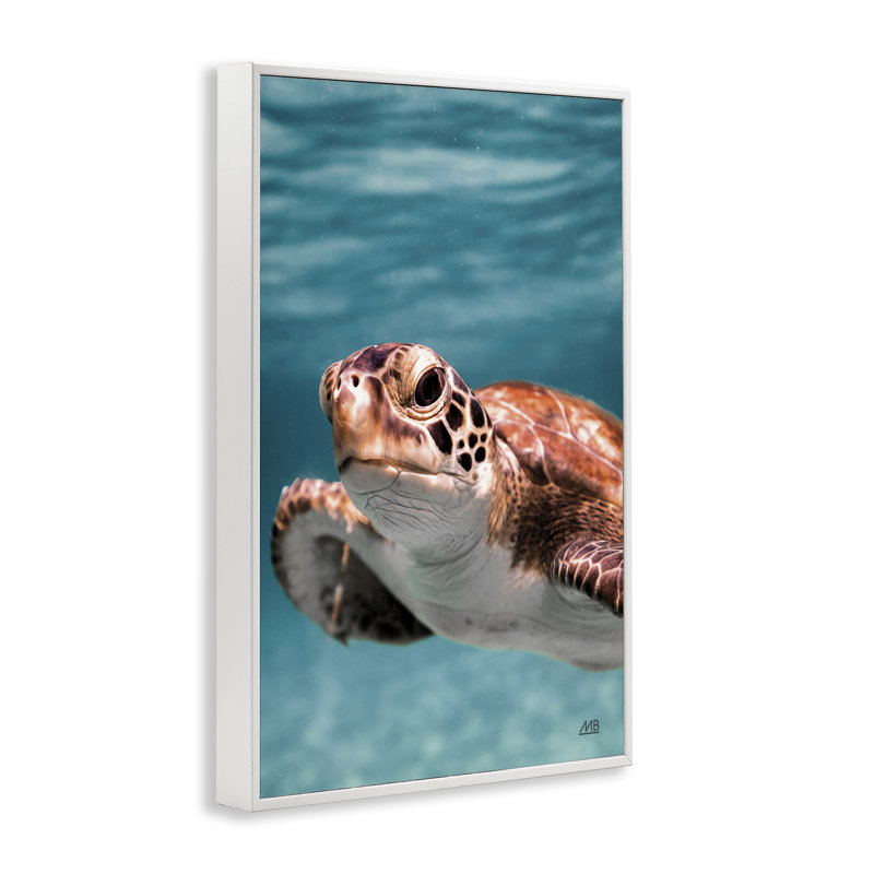 Tortue de mer sous l'eau, estampe numérique par Max Blakesberg Studios, Estampe numérique encadrée blanc bord de mer