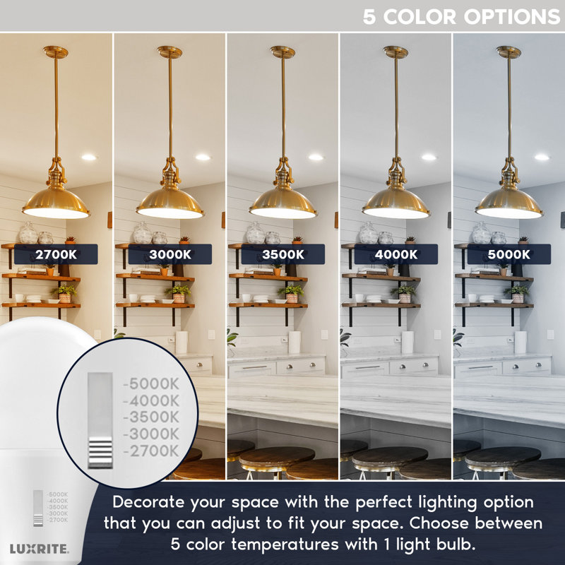 15 Watt E26/Medium (Standard) Dimmable Bulb
