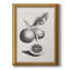 Citrons antiques et oranges II, toile encadrée de qualité supérieure - prête à être accrochée-1218147568