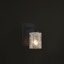 Glass and Steel Armed Sconce-1071455114