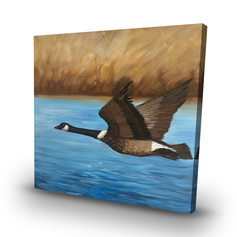 Canada goose - 32"x32" art on canvas