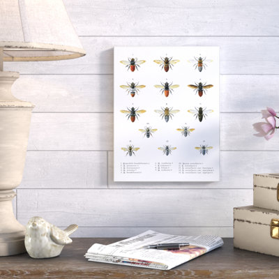 « abeilles scientifiques », impression