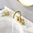 2-handle Bathroom Faucet