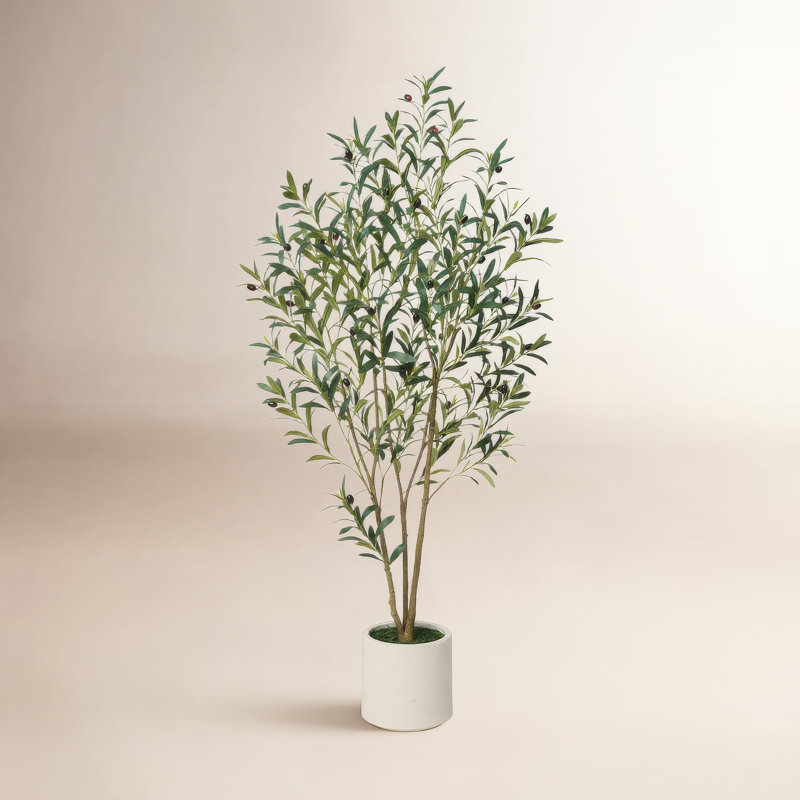Arbre d'olivier artificiel 60 po George, H 60 po x l 20 po x P 20 po