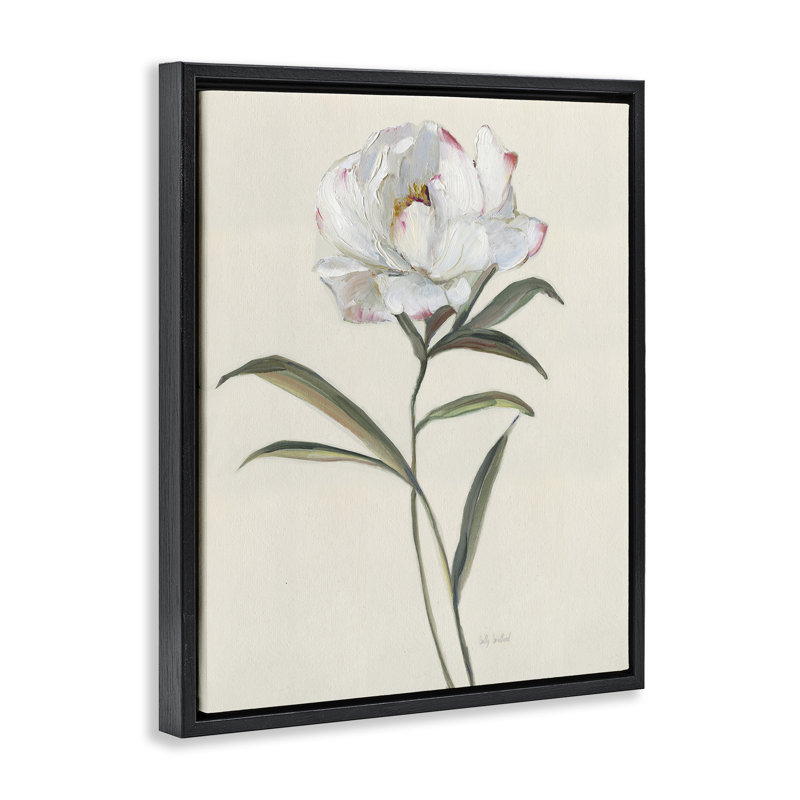 Simple rose blanche, Cadre flottant noir de jais, H 21 po x l 17 po