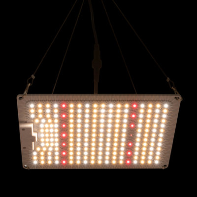 LED Grow Light, Indoor Grow Lamp For Plants, Veg To Flower Bloom, Dimmable & Daisy Chain, 2X2 3X3 Grow Tent, Full Spectrum LM301B Diodes And Driver