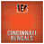 Cincinnati Bengals