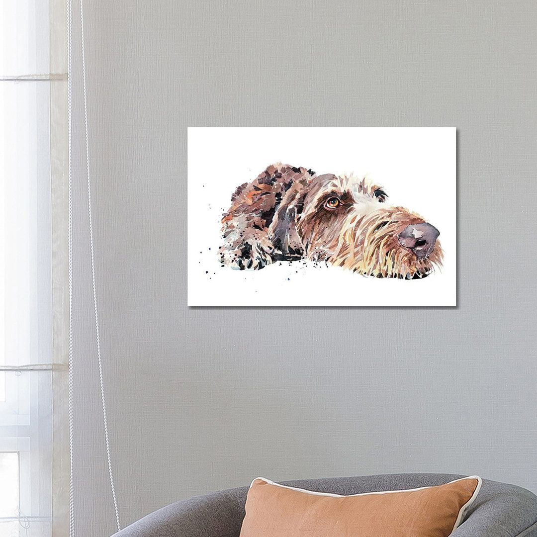 Wirehaired German Pointer 1PC6