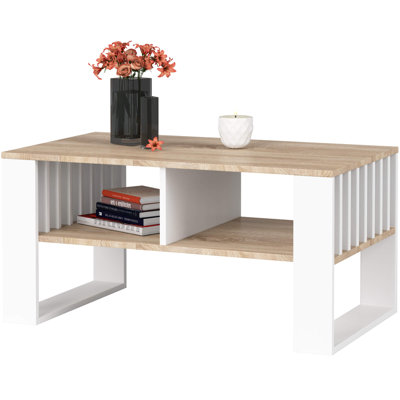 Shamanique Coffee Table with Storage
