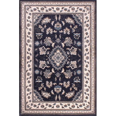 Salsbury Oriental Hand Woven Area Rug