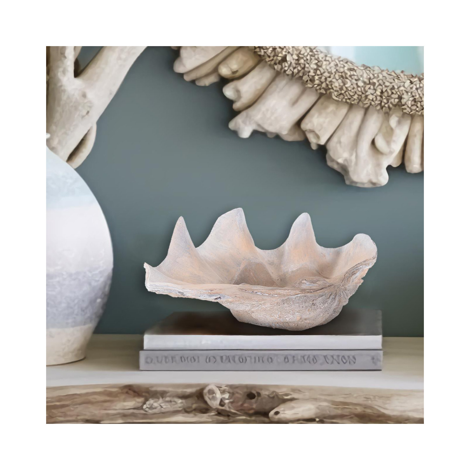 Large Vongole
