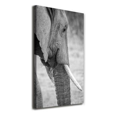 Elephant - Wrapped Canvas Print
