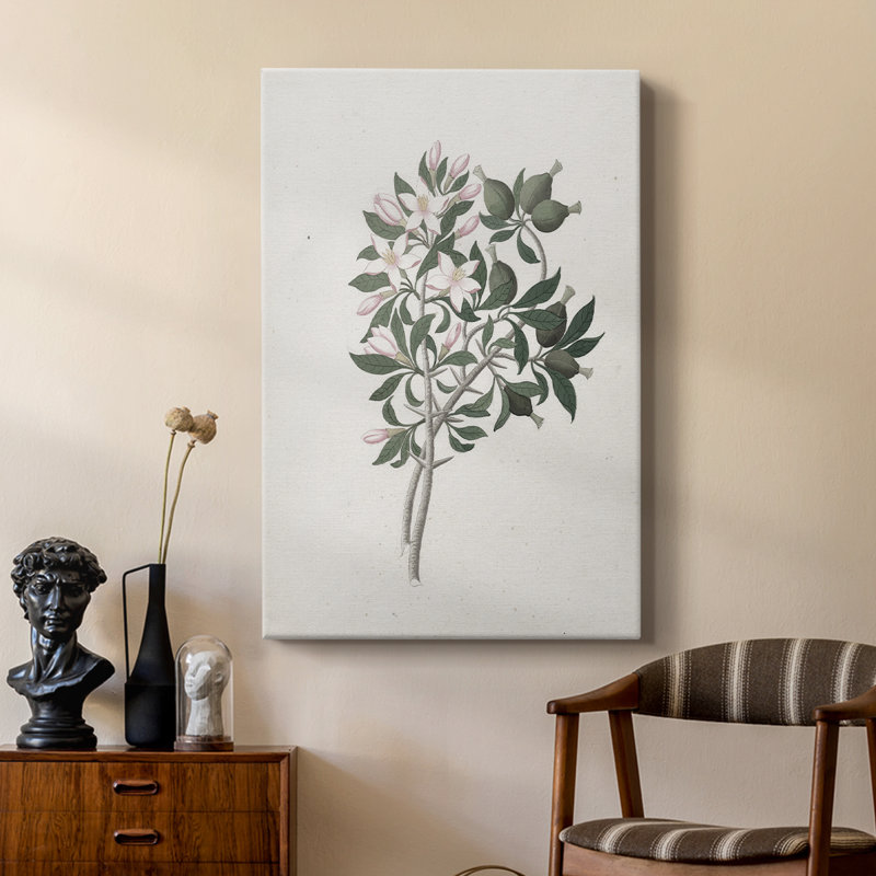 Imprimé floral rétro CLxxx - galerie Cavas sur mesure, H 60 po x l 40 po