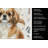 Tibetan Spaniel Coffee Bar Kitchen Towel-1168062703