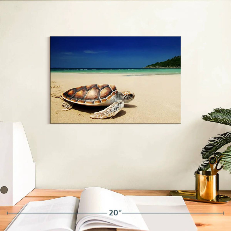 Tortue Brampt sur la plage, H 8 po x l 12 po