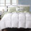 Cuddledown Sateen Down Alternative Comforter