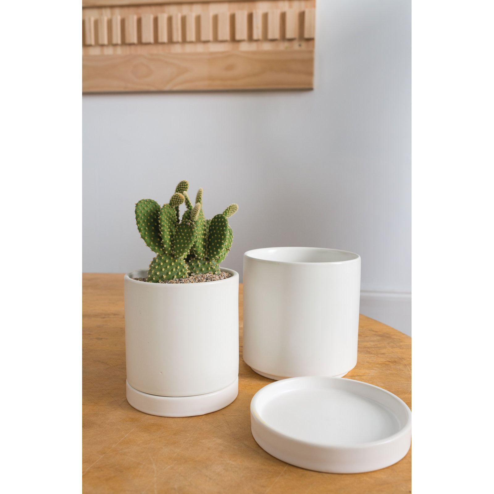 Carlotta 12" Ceramic Pot Planter, White, 5.75" H x 5" W x 5" D