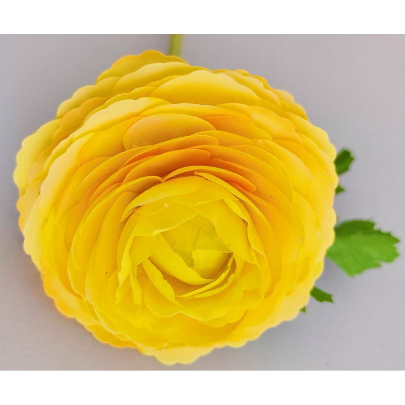 RENOUNCULE NAT.TCH FRESH-TOUCH X3 24", Yellow