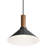 Emblem 1 - Light Single Pendant-74747929-74747934-94655710