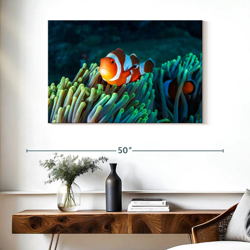 Brampt Frowning Clownfish, 26" H x 39" W