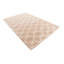 Tapis brun clair Odenton