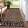 Machine Washable Indoor/Outdoor Claudian ACN1230 Brown Rug
