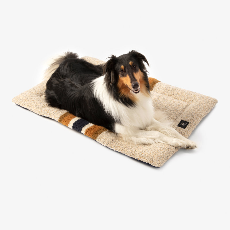 Pet Comfort Cushion, Small (30" W x 23" D x 2" H), Oatmeal