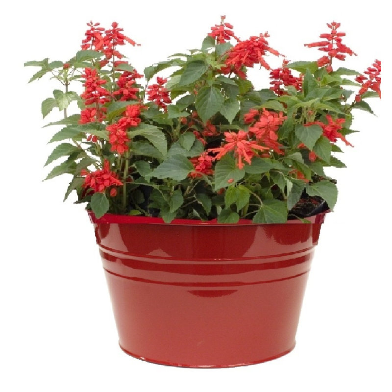 Jardinière en acier émaillé galvanisé, ensemble de deux, Rouge
