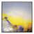 Wrapped Canvas