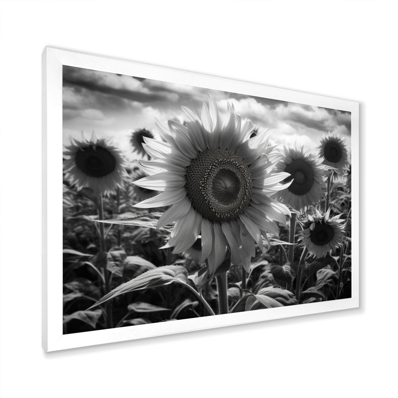 Tournesol noir et blanc I, H 30 po x l 40 po x P 1,5 po, Cadre photo blanc