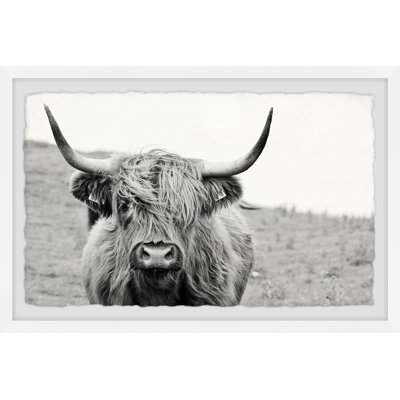 Mountain Cow - Single Picture Frame Print