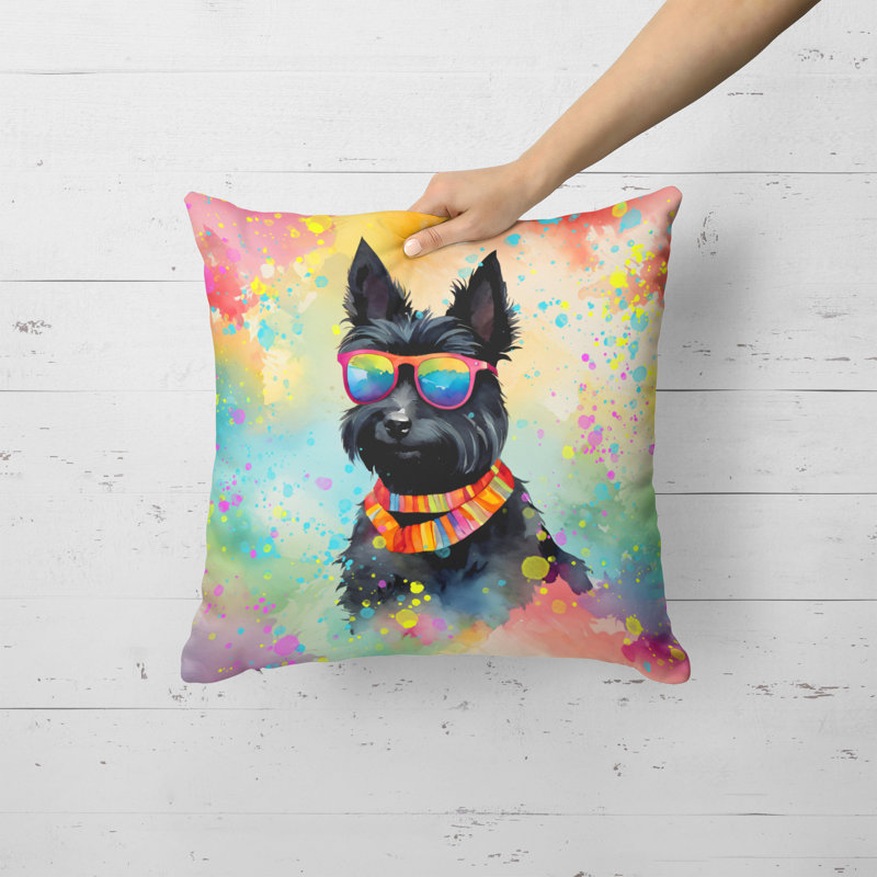 Other/No Pattern Outdoor Throw Pillow, Square, 18"H x 18"W