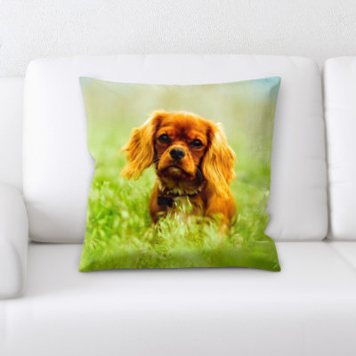Aiden Microsuede Reversible Throw Pillow